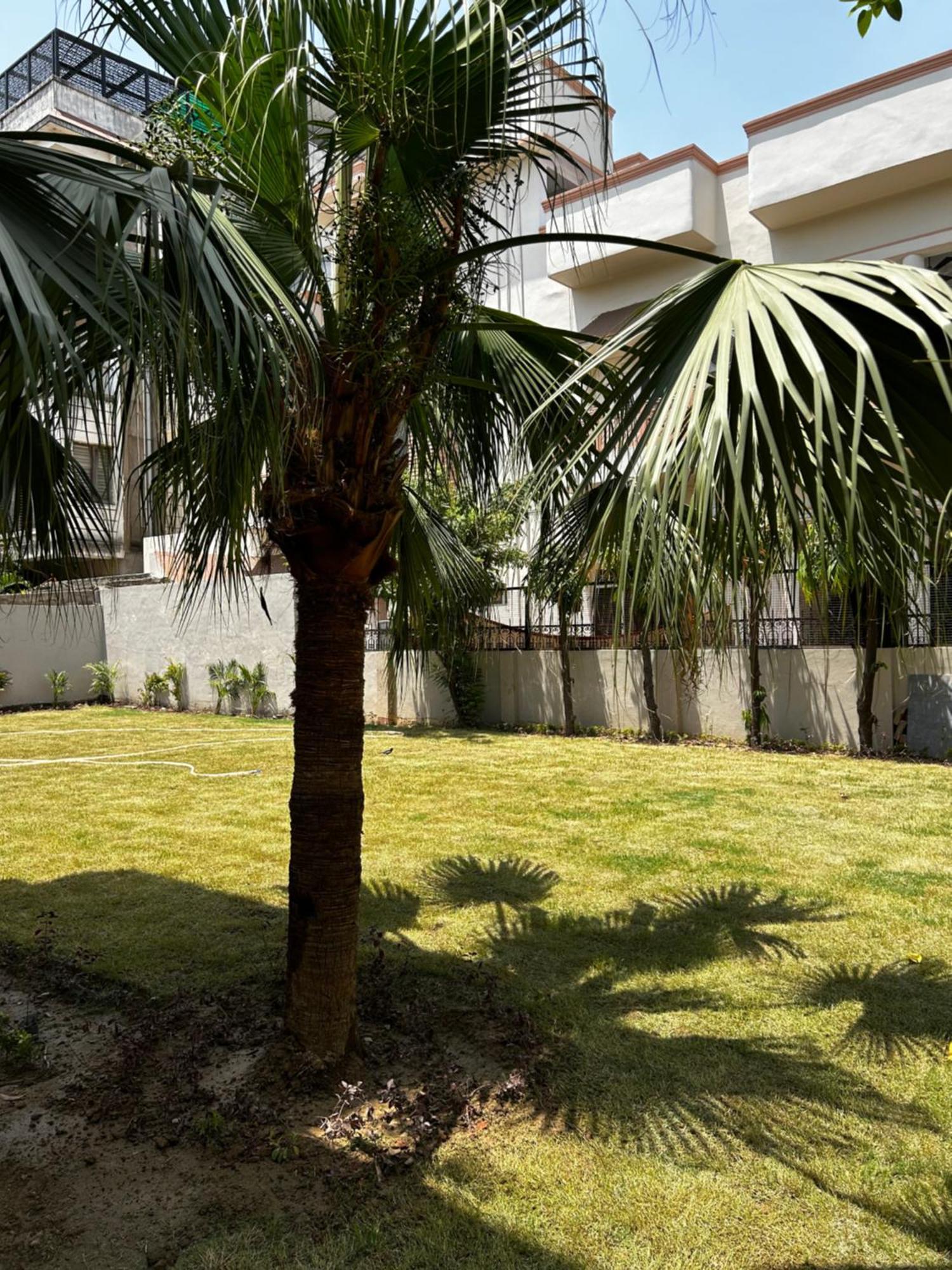 Ashirvad Homestay Varanasi Luaran gambar